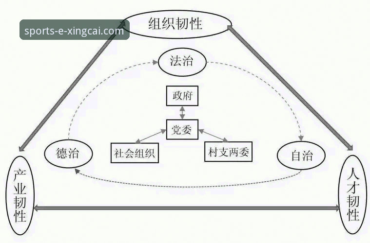 官方渠道与风险路径的抉择：杏彩体育官网唯一推荐教程深度解析
