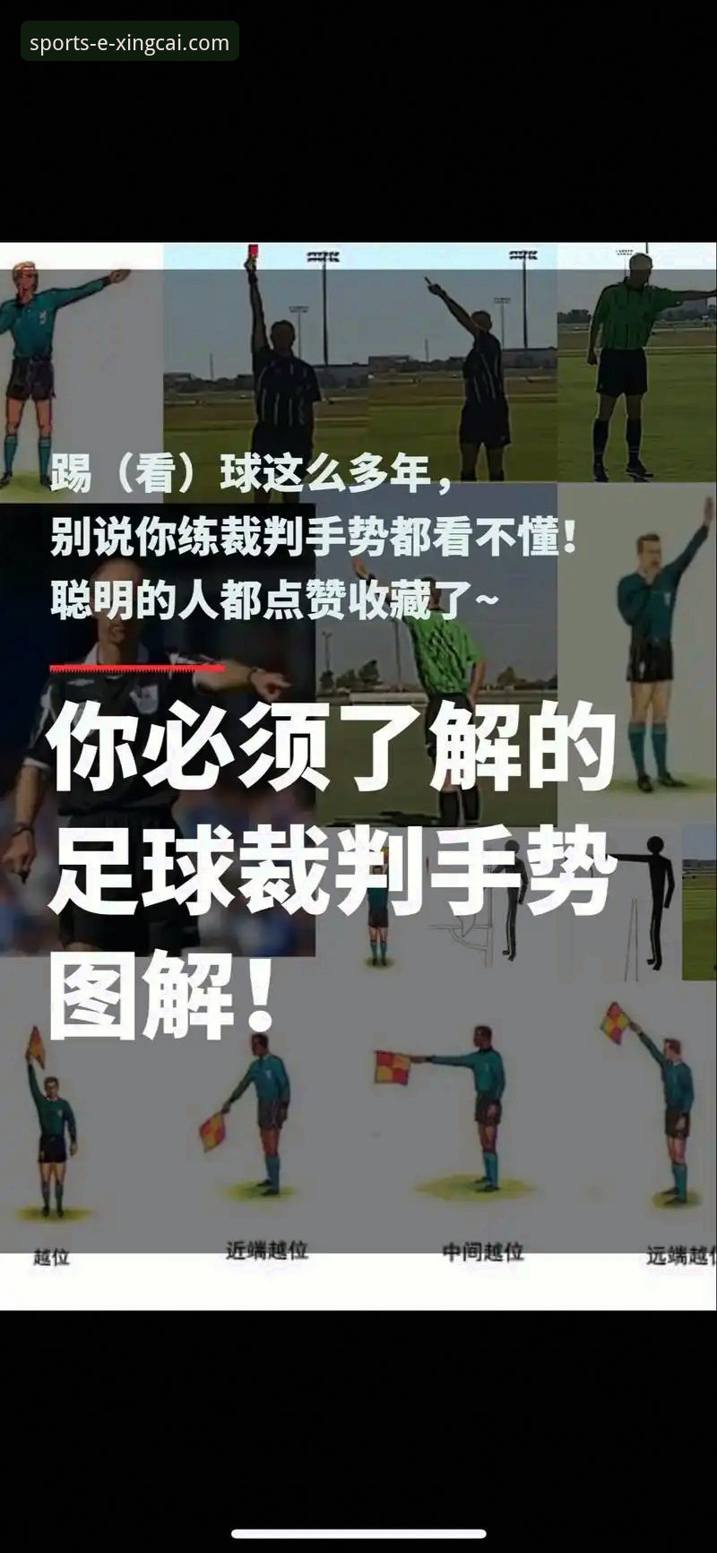 杏彩体育官网体验哪个好 意大利足坛风云:奥尔西深度解析裁判风波与国家队帅位博弈